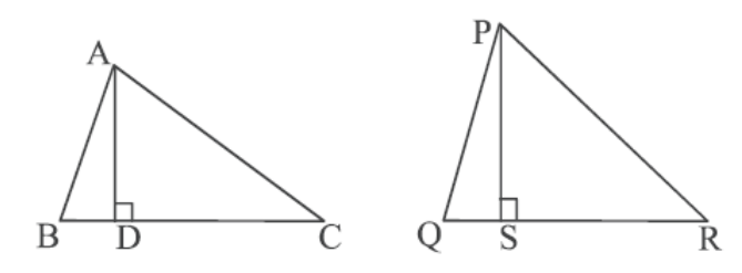 figure for this question
